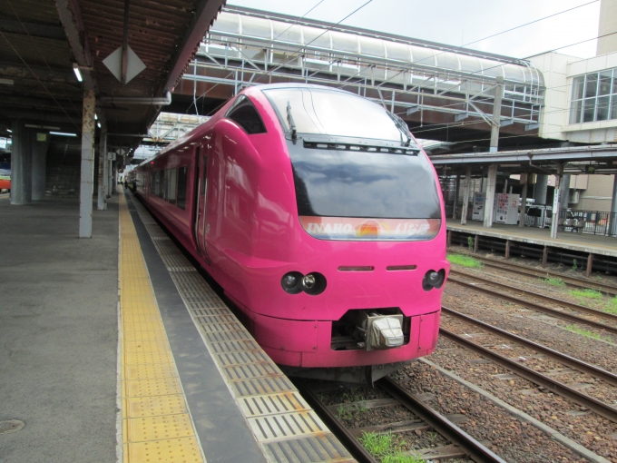 鉄道乗車記録の写真:列車・車両の様子(未乗車)(23)        「特急いなほ」