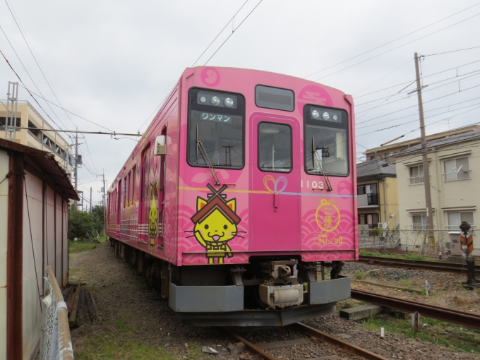 鉄道乗車記録の写真:列車・車両の様子(未乗車)(30)        「一畑電車」