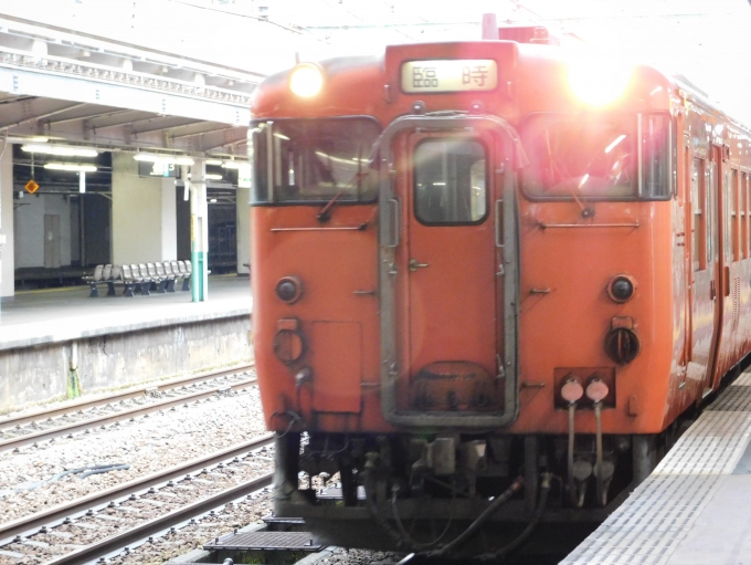 鉄道乗車記録の写真:乗車した列車(外観)(14)        「快速只見紅葉満喫号」