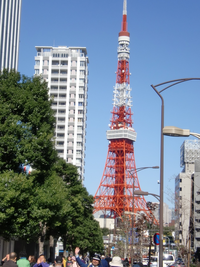 鉄道乗車記録の写真:旅の思い出(3)        「東京タワー」