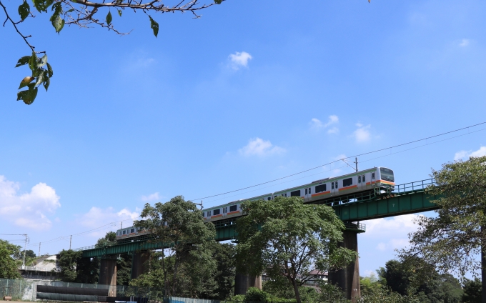 鉄道乗車記録の写真:列車・車両の様子(未乗車)(5)        「JR八高線：東飯能駅付近」