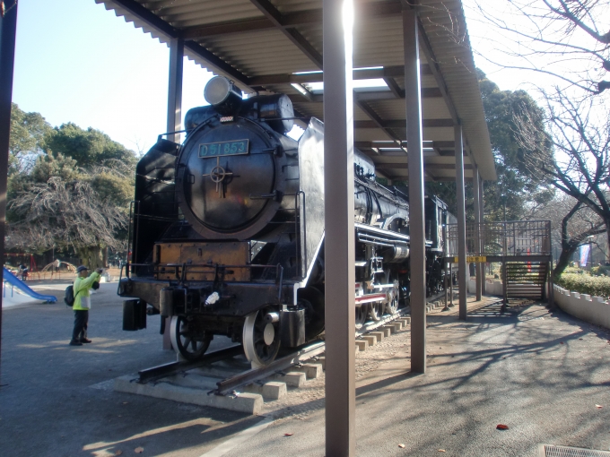 鉄道乗車記録の写真:列車・車両の様子(未乗車)(1)     「保存車」