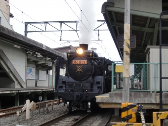 野上駅から御花畑駅の乗車記録(乗りつぶし)写真