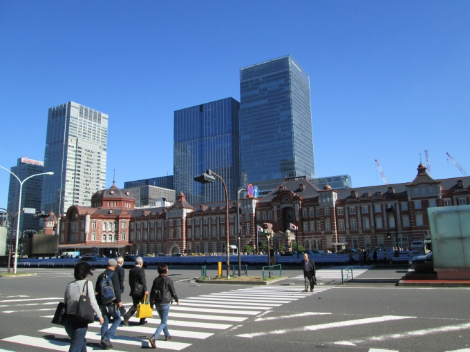 鉄道乗車記録の写真:旅の思い出(4)        「東京駅通過」