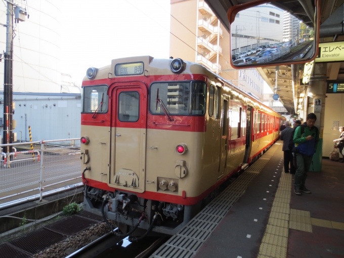 鉄道乗車記録の写真:乗車した列車(外観)(2)        「快速　只見紅葉号」
