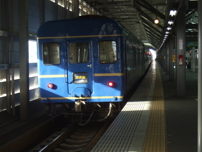 鉄道乗車記録の写真:列車・車両の様子(未乗車)(5)        