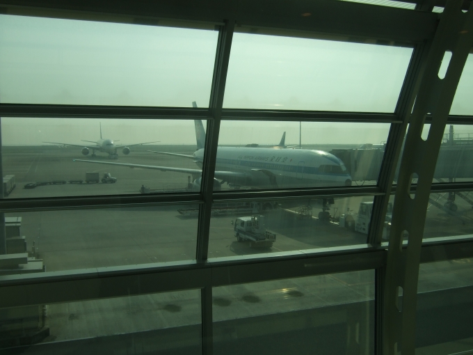鉄道乗車記録の写真:旅の思い出(1)          「羽田空港から松山空港へは、ANA583便で。モヒカン塗装機でした。」