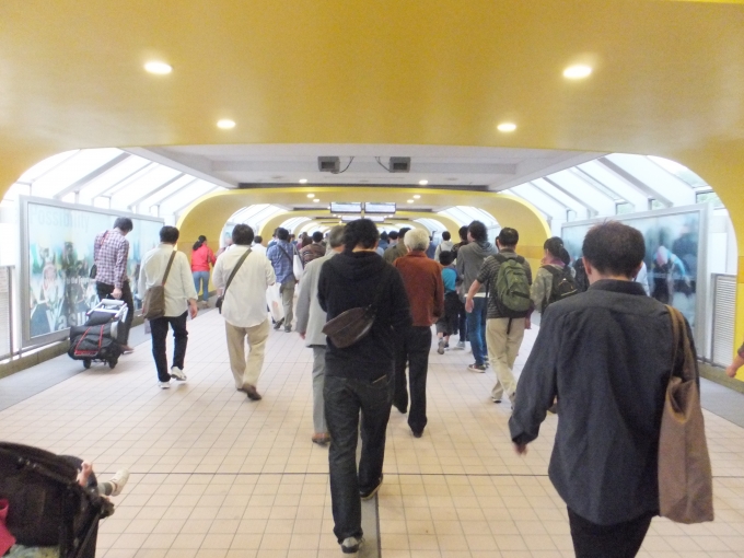鉄道乗車記録の写真:旅の思い出(1)        「東京競馬場から府中本町駅への通路。」