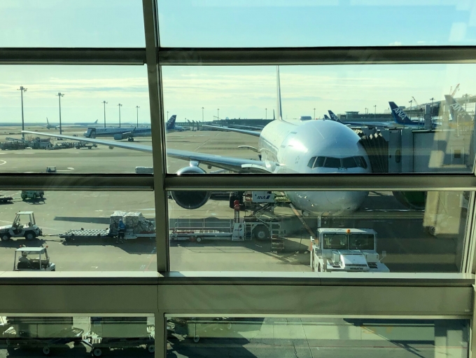 鉄道乗車記録の写真:旅の思い出(2)        「羽田空港で出発を待つANA245便福岡空港行き。」