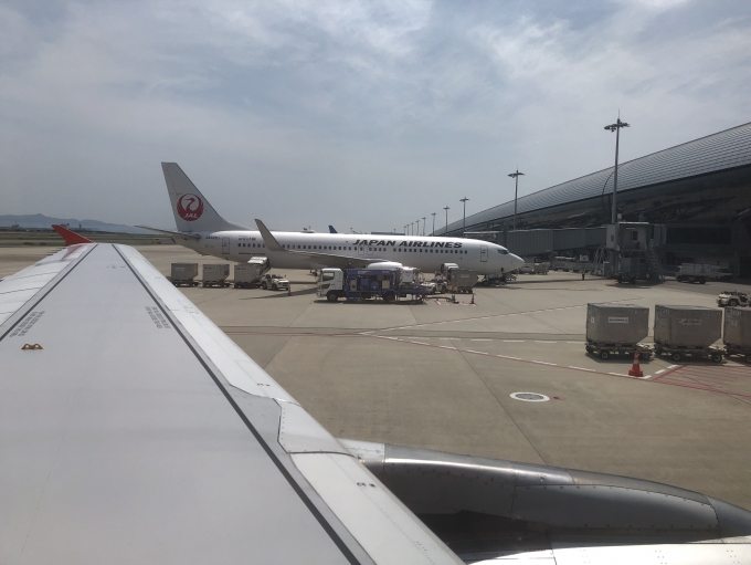 鉄道乗車記録の写真:旅の思い出(2)        「関西空港に到着したジェットスター・ジャパンGK205便。」