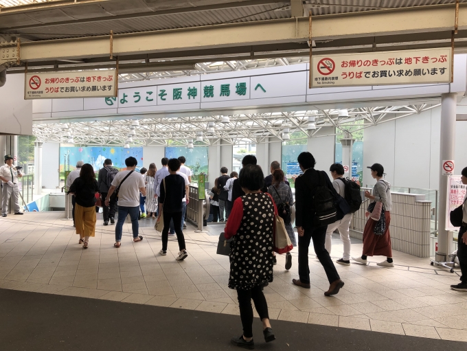 鉄道乗車記録の写真:駅舎・駅施設、様子(2)        「仁川駅の阪神競馬場入口。」