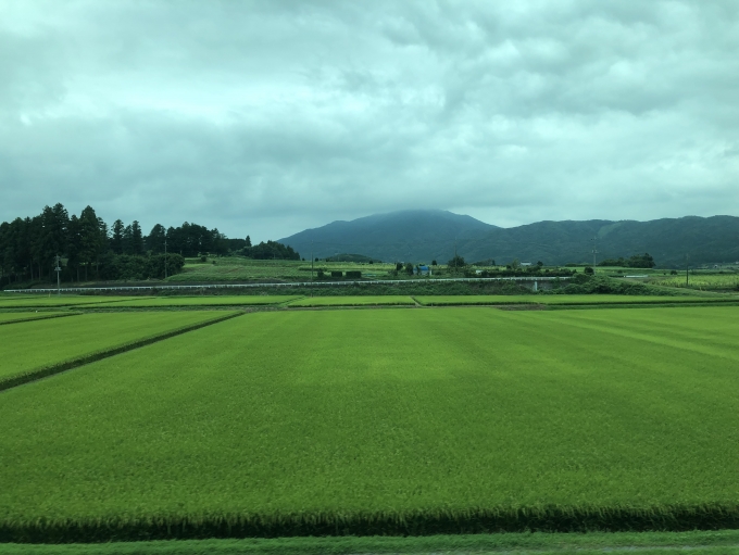 鉄道乗車記録の写真:車窓・風景(3)        「車窓から観た筑波山(1)。」