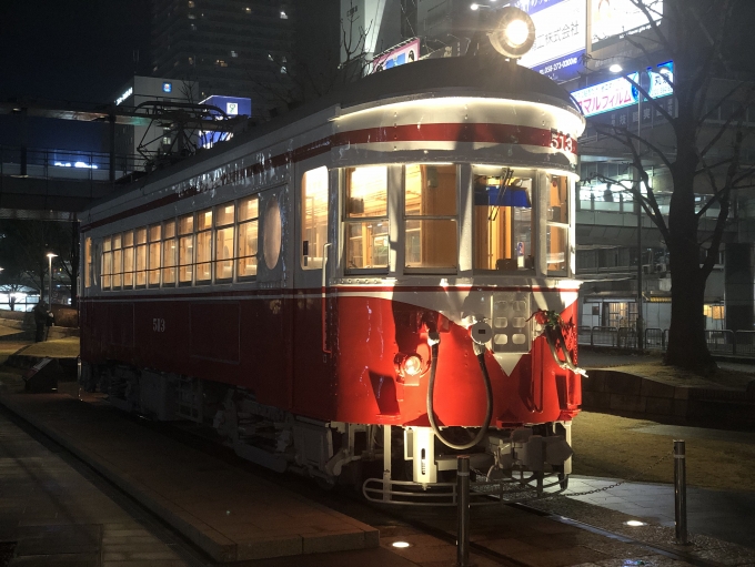 鉄道乗車記録の写真:旅の思い出(5)        「JR岐阜駅前に静態保存されているモ510形（513）。」