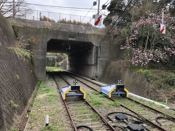 鉄道乗車記録の写真:駅舎・駅施設、様子(2)        「初聲（初声）隧道を抜けたところにある線路の終端部。」