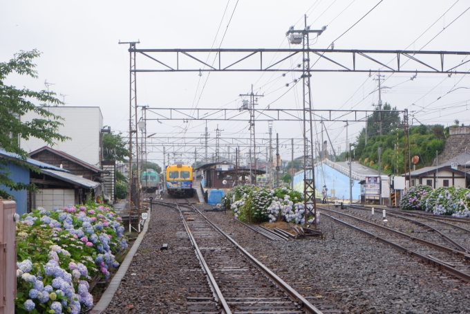 鉄道乗車記録の写真:駅舎・駅施設、様子(5)        「西桐生方の踏切を渡りながら撮影。」