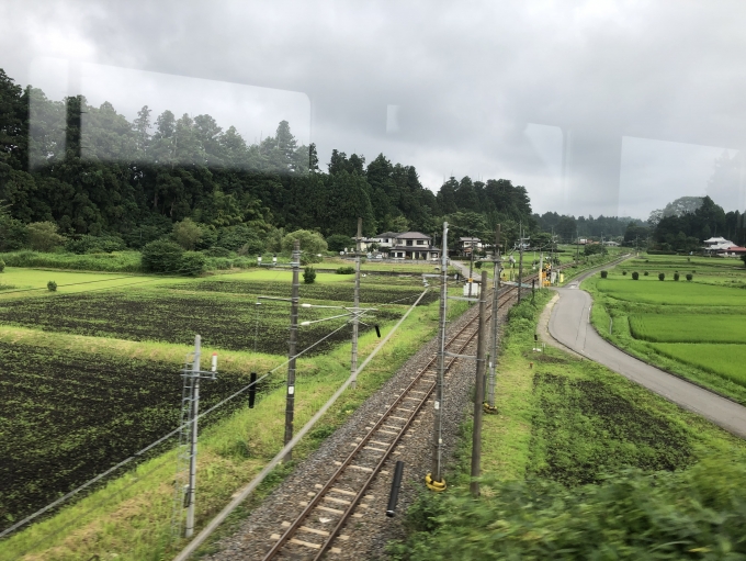鉄道乗車記録の写真:車窓・風景(4)        「杉並木と蕎麦畑とJR日光線。」