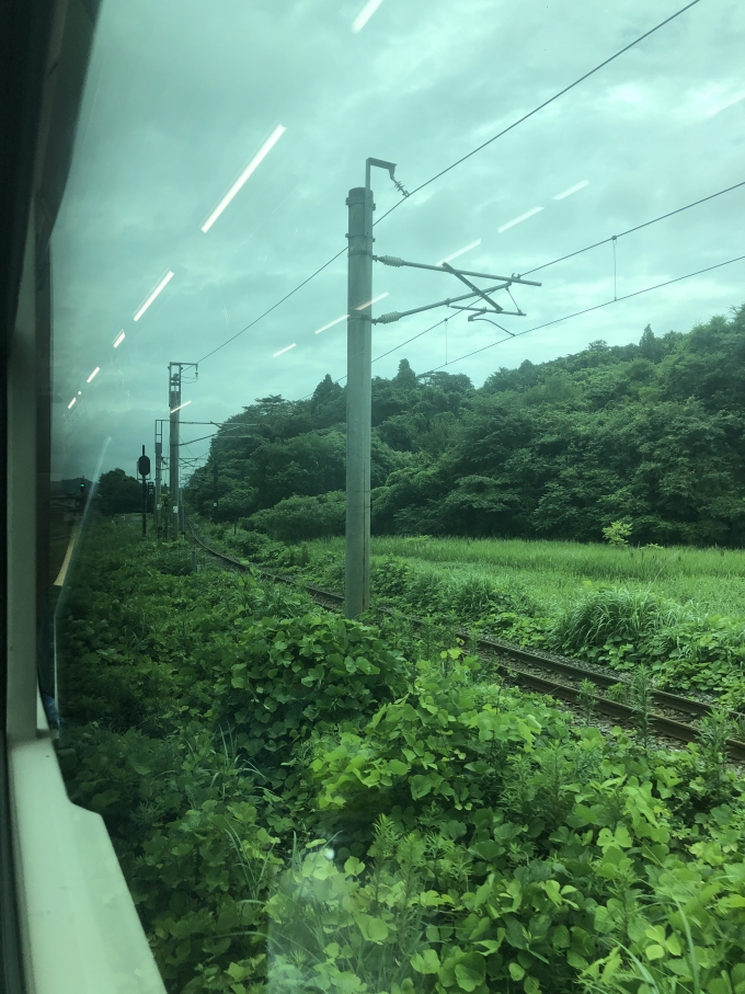 鉄道乗車記録の写真:車窓・風景(5)        「非電化の仙石線・東北本線接続線を走行中。」