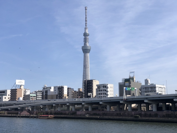 鉄道乗車記録の写真:旅の思い出(21)        「隅田川と東京スカイツリー。」