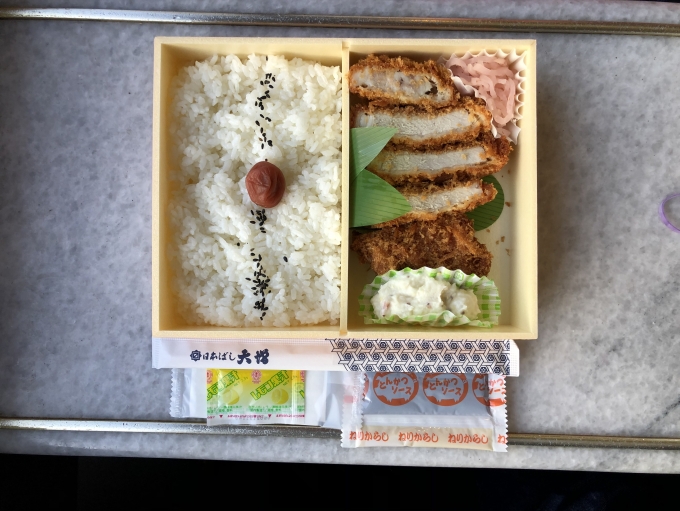 鉄道乗車記録の写真:駅弁・グルメ(11)     「浅草駅で購入した、三元豚とんかつ弁当の中身。」