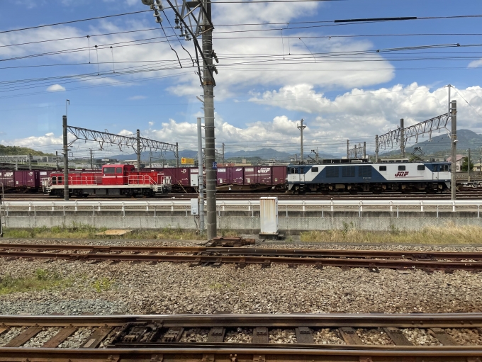 鉄道乗車記録の写真:車窓・風景(5)        「静岡貨物駅。」