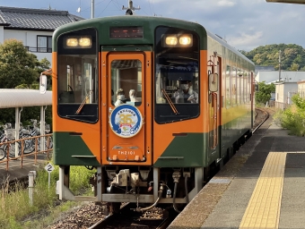 西鹿島駅から新所原駅:鉄道乗車記録の写真