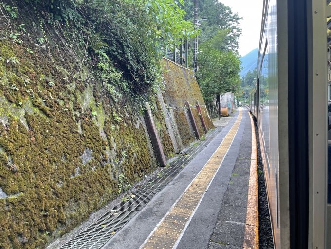 鉄道乗車記録の写真:駅舎・駅施設、様子(33)        