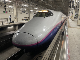 仙台駅から那須塩原駅の乗車記録(乗りつぶし)写真