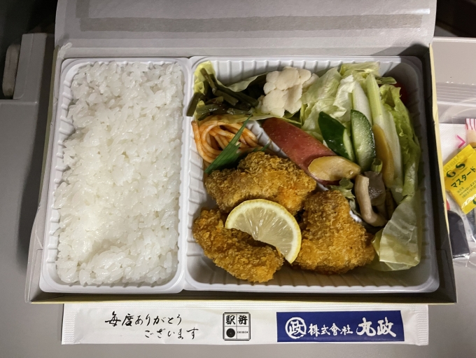 鉄道乗車記録の写真:駅弁・グルメ(3)        「小淵沢駅で購入した「丸政」の、山高原野菜とカツの弁当。美味。」