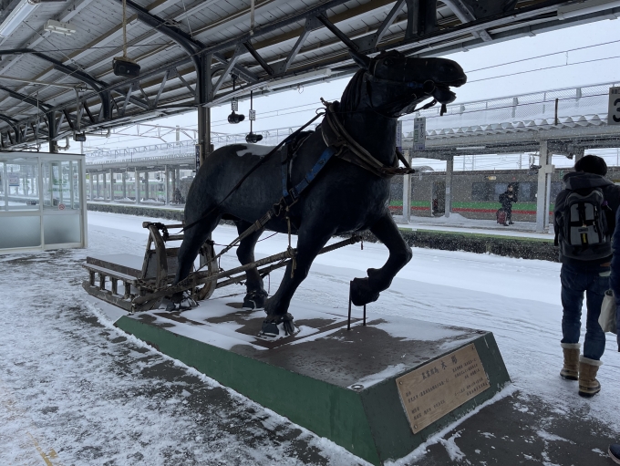 鉄道乗車記録の写真:駅舎・駅施設、様子(14)        「かつて、ばんえい競馬の競馬場があった岩見沢。」