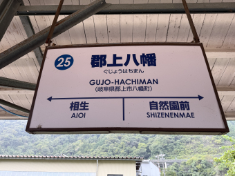長良川鉄道 越美南線 路線図・停車駅 | レイルラボ(RailLab)