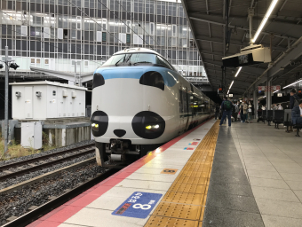 287系 HC601編成 (吹田総合車両所 日根野支所) 徹底ガイド