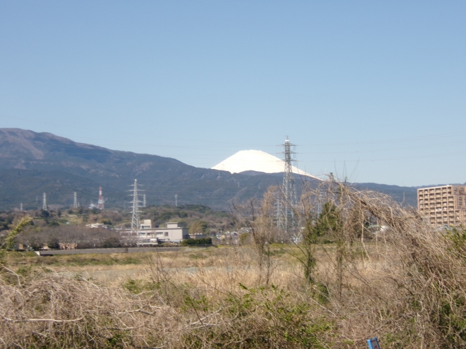 鉄道乗車記録の写真:車窓・風景(4)        「富士山がキレイでした」