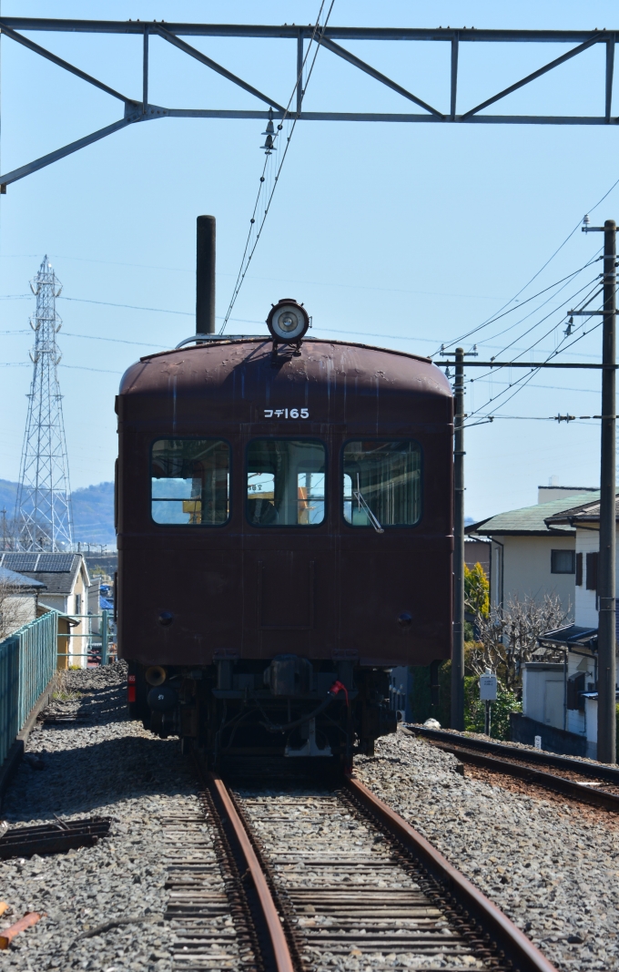 鉄道乗車記録の写真:列車・車両の様子(未乗車)(4)        「大雄山の主「コデ」に会ってきました」