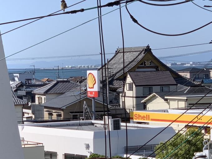 鉄道乗車記録の写真:旅の思い出(4)        「尾崎駅から見えた海。
この旅行で見れた唯一の海です。」