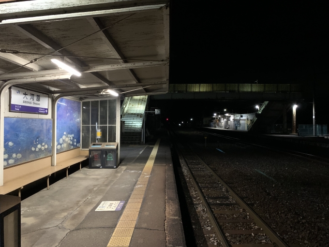 鉄道乗車記録の写真:駅舎・駅施設、様子(4)        「静かだ・・・」