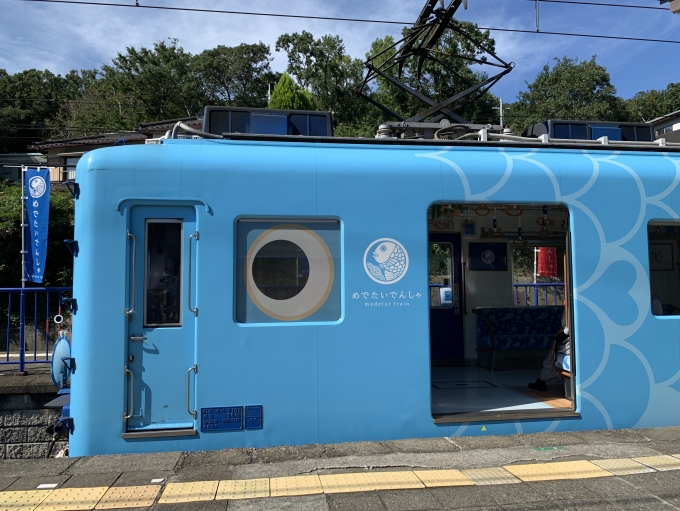 鉄道乗車記録の写真:乗車した列車(外観)(1)        「青い めでたい電車 でした。」