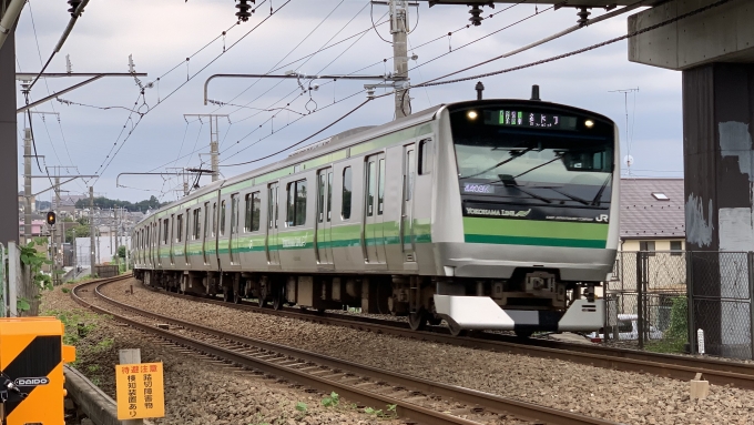 鉄道乗車記録の写真:旅の思い出(1)        「中央線に乗る前の写真で、横浜線です。」