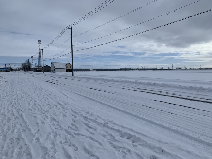 鉄道乗車記録の写真:旅の思い出(3)        「工場を出てロイズタウン駅方向を望む。
これくらいの雪なら歩く。（途中でバスに抜かれるｗ）」