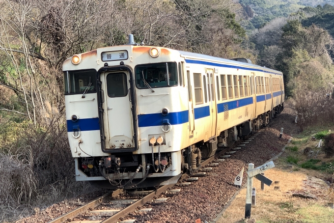 鉄道乗車記録の写真:乗車した列車(外観)(3)        
