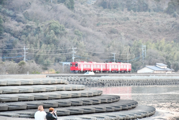 鉄道乗車記録の写真:列車・車両の様子(未乗車)(6)        「海側から見た列車はこんな感じです。（前日撮影）」