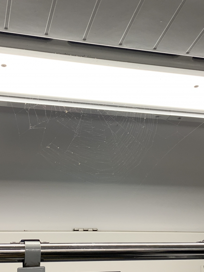 鉄道乗車記録の写真:車内設備、様子(2)        「クモの巣が張ってるんですけどｗ」