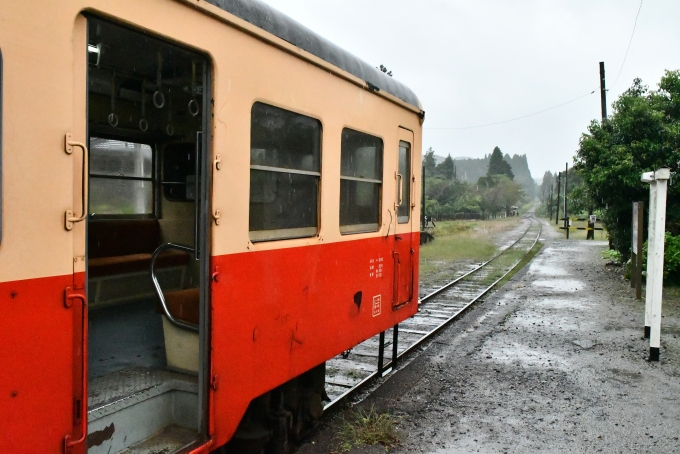 鉄道乗車記録の写真:乗車した列車(外観)(4)        「五井側を望む。

実はいすみ鉄道とは線路が繋がっている。（奥の分岐）」