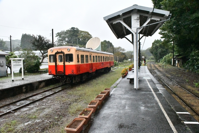 鉄道乗車記録の写真:乗車した列車(外観)(5)        「折り返し、五井行となるキハ２０２。」
