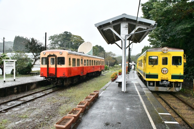 鉄道乗車記録の写真:乗車した列車(外観)(1)        「接続中。
小湊鉄道からの乗継は自分含めて３人でした。」