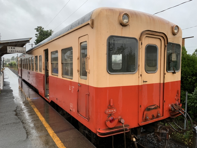 鉄道乗車記録の写真:乗車した列車(外観)(3)        「乗車するのはキハ２０４」