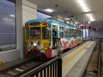 高岡駅停留場から海王丸駅の乗車記録(乗りつぶし)写真