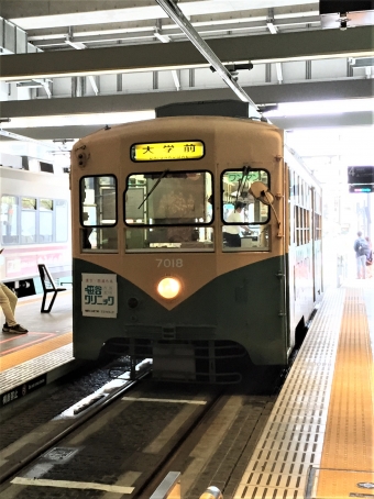 電鉄富山駅・エスタ前停留場から富山駅停留場の乗車記録(乗りつぶし)写真