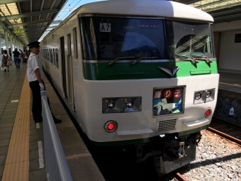 伊豆急下田駅から東京駅の乗車記録(乗りつぶし)写真