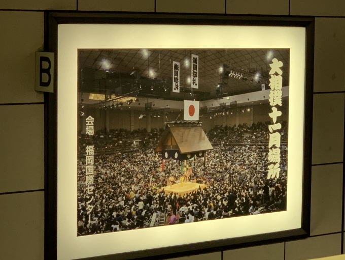 鉄道乗車記録の写真:駅舎・駅施設、様子(1)        「相撲のお知らせ。」