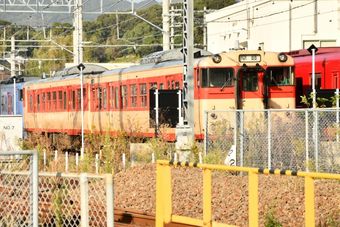 鉄道乗車記録の写真:列車・車両の様子(未乗車)(2)        「障害物の関係でフォトに投稿出来ないので、コチラに。
キハ66 1です。」
